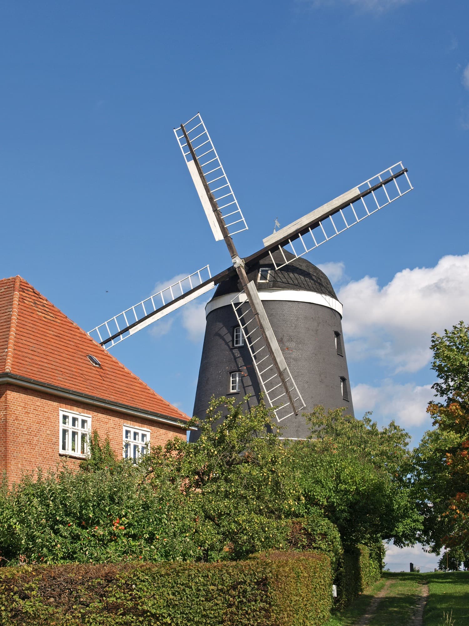 Historische Windmühle in der Windmühlenstadt Woldegk